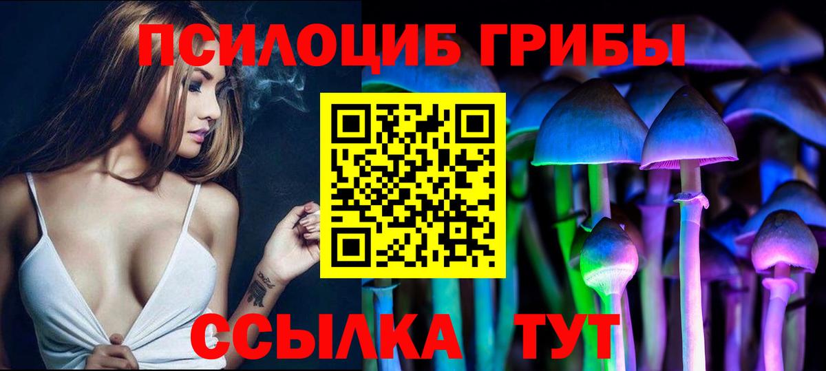 Галлюциногенные грибы Cubensis Вольск