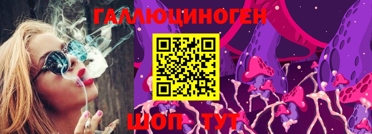 магазин  наркотиков  Вход с VPN  Псилоцибиновые грибы MAGIC MUSHROOMS  Вольск  Псилоцибиновые грибы Cubensis 